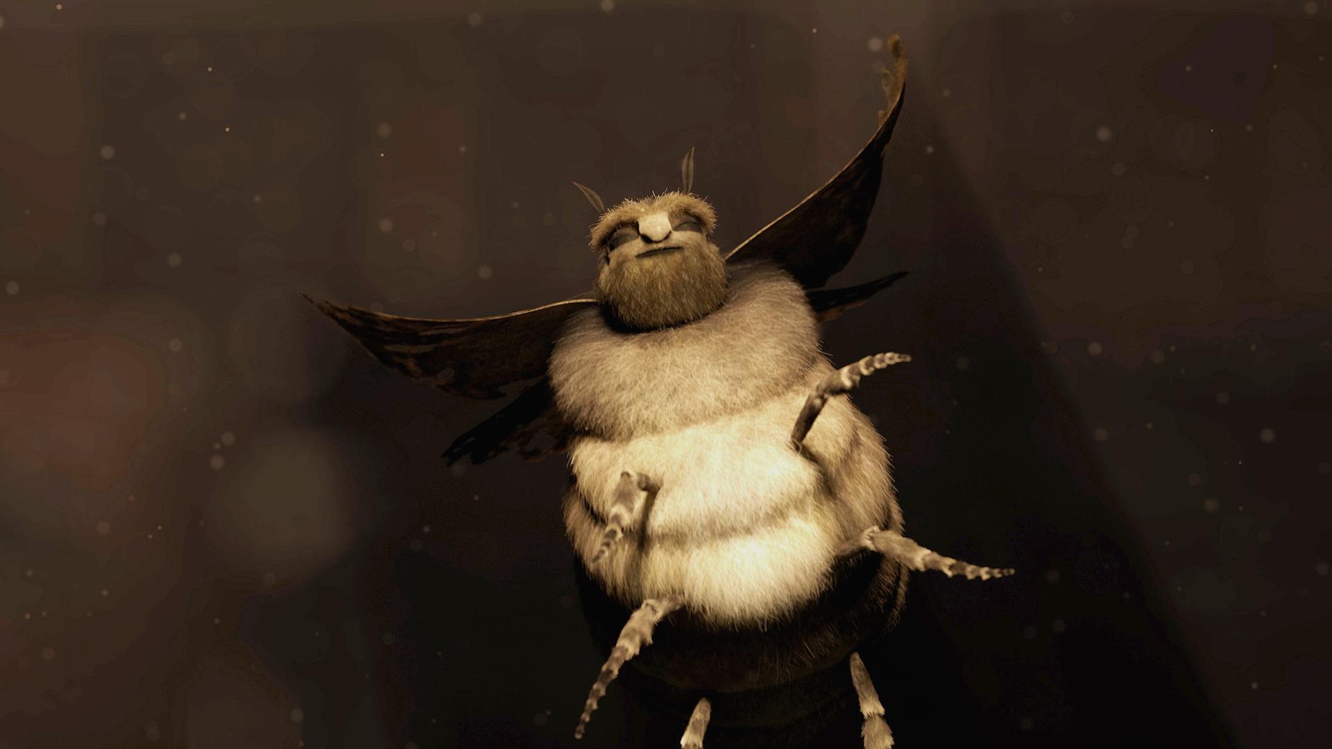 Bogan Moths Bogan Moths