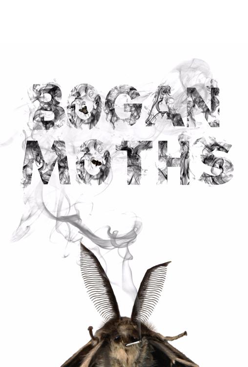 Bogan Moths Bogan Moths