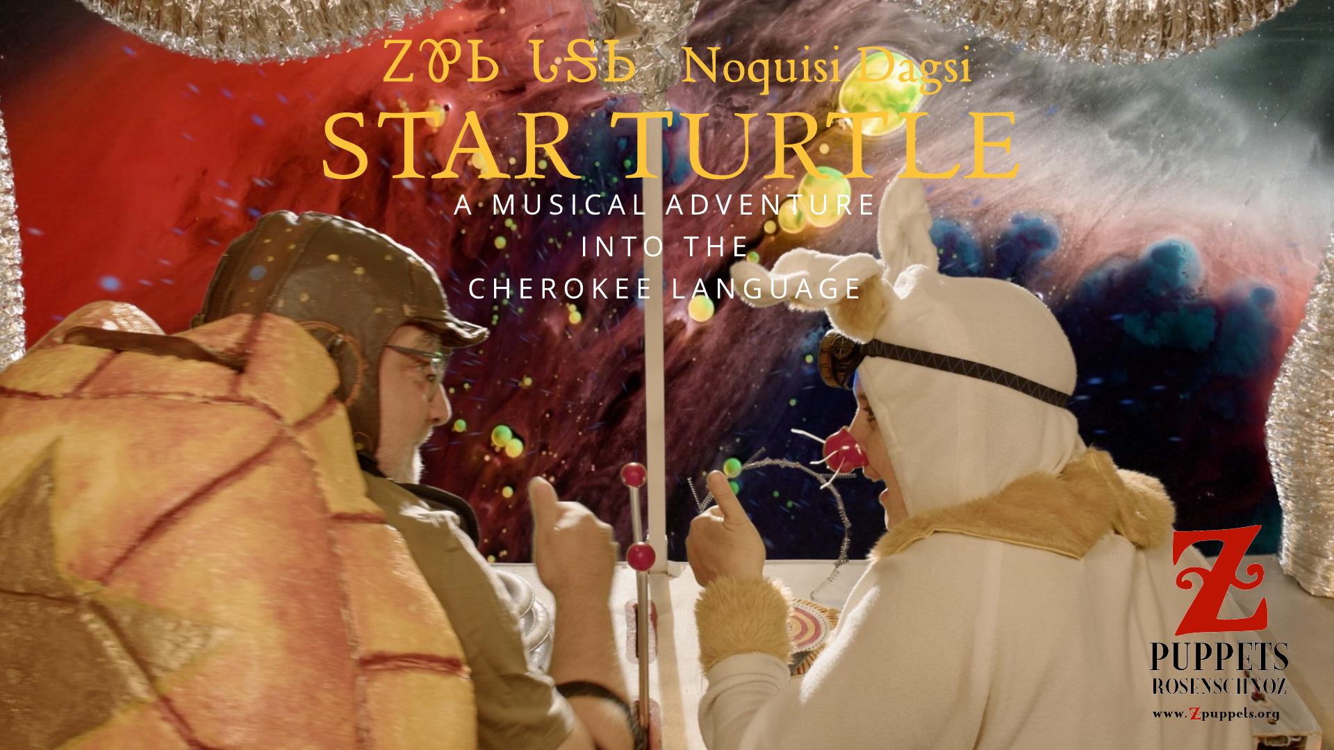 STAR TURTLE STAR TURTLE