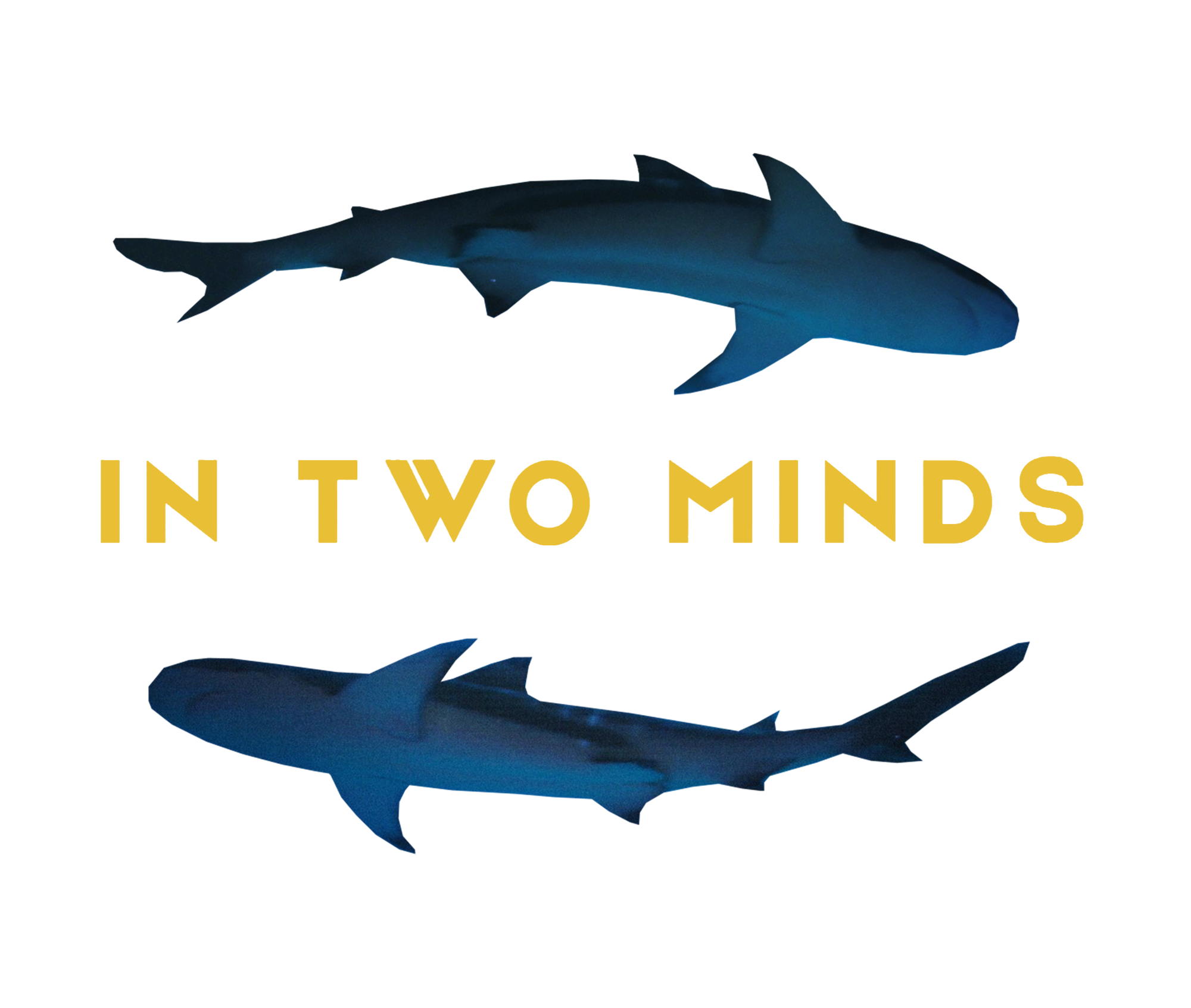 In Two Minds In Two Minds