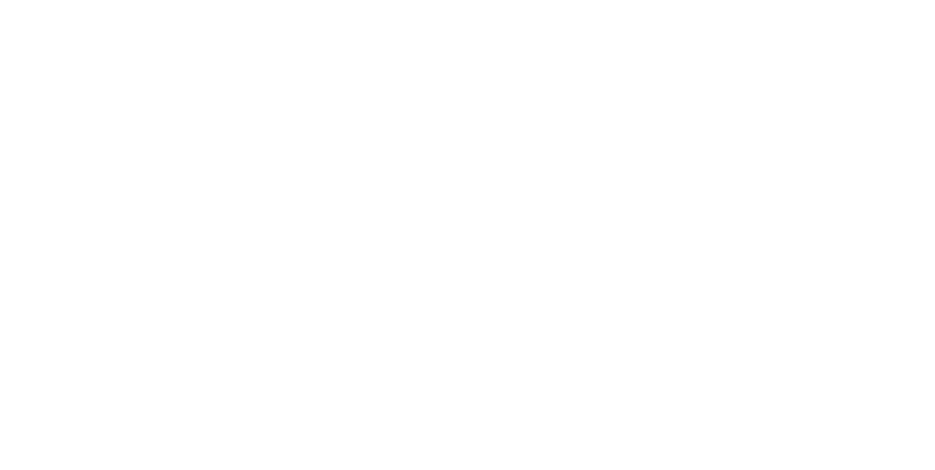 THE HONEY TRAPPER THE HONEY TRAPPER