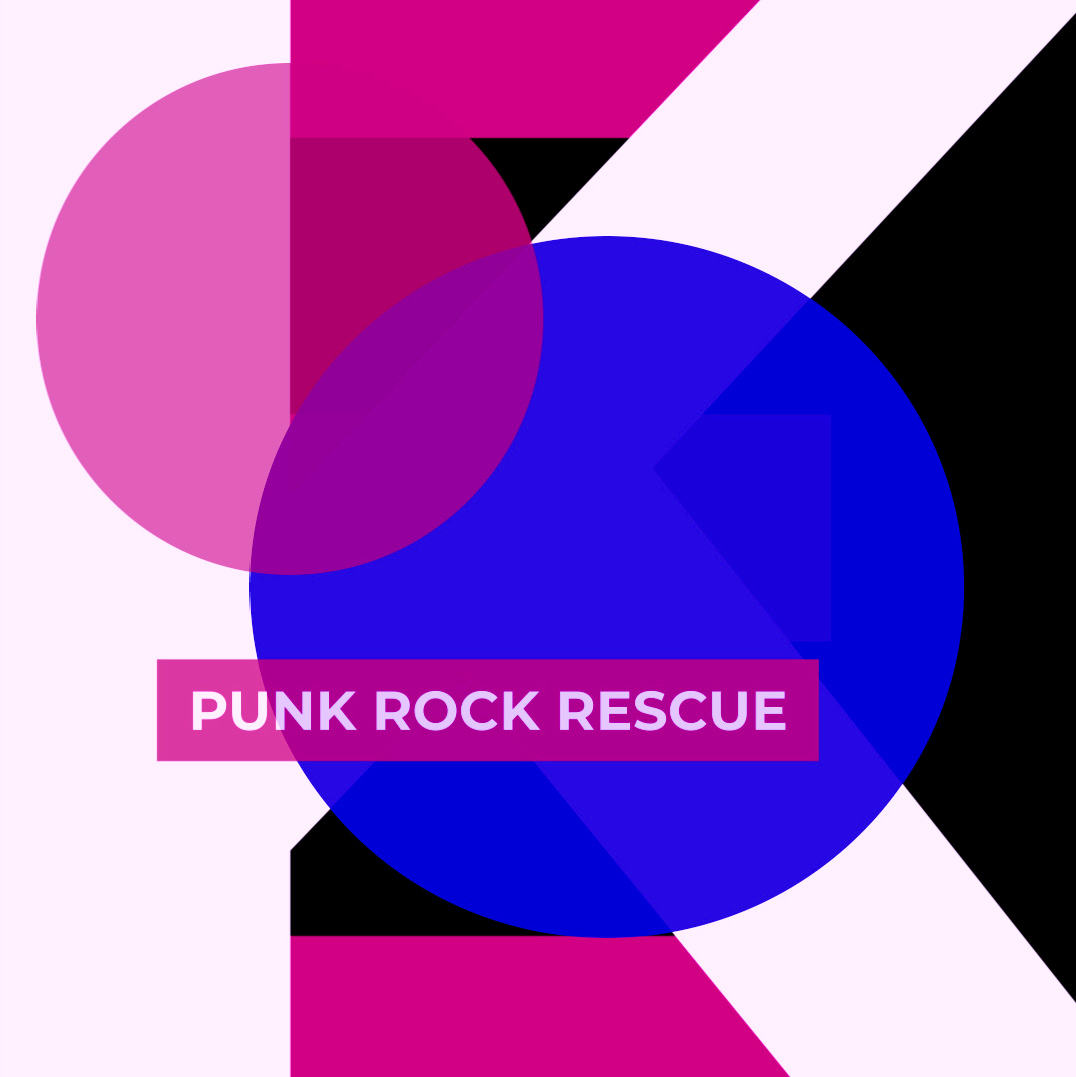 Punk Rock Rescue | The Innkeepers of Kennedy Cat Hostel