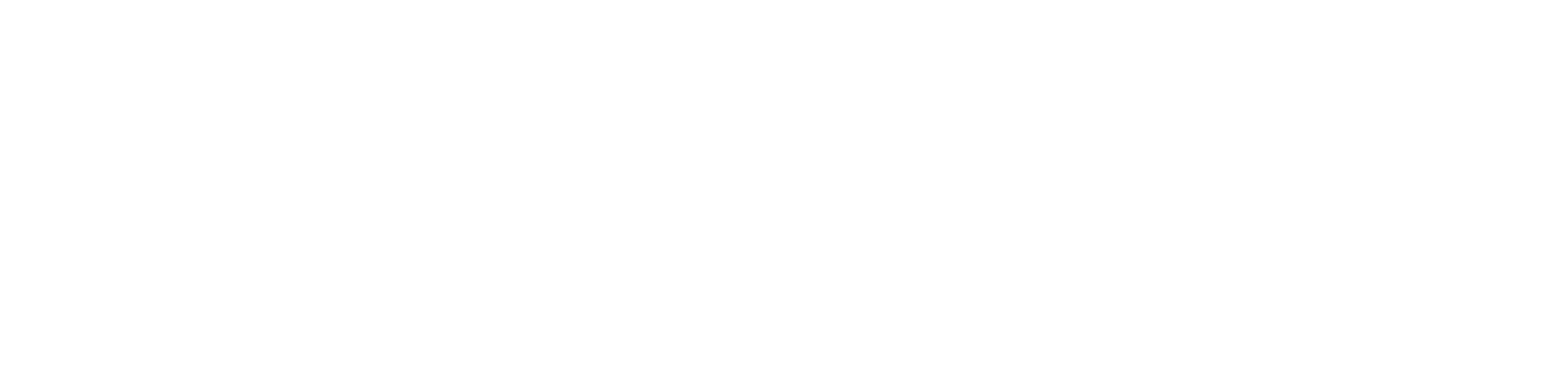 Bondi Slayer Bondi Slayer