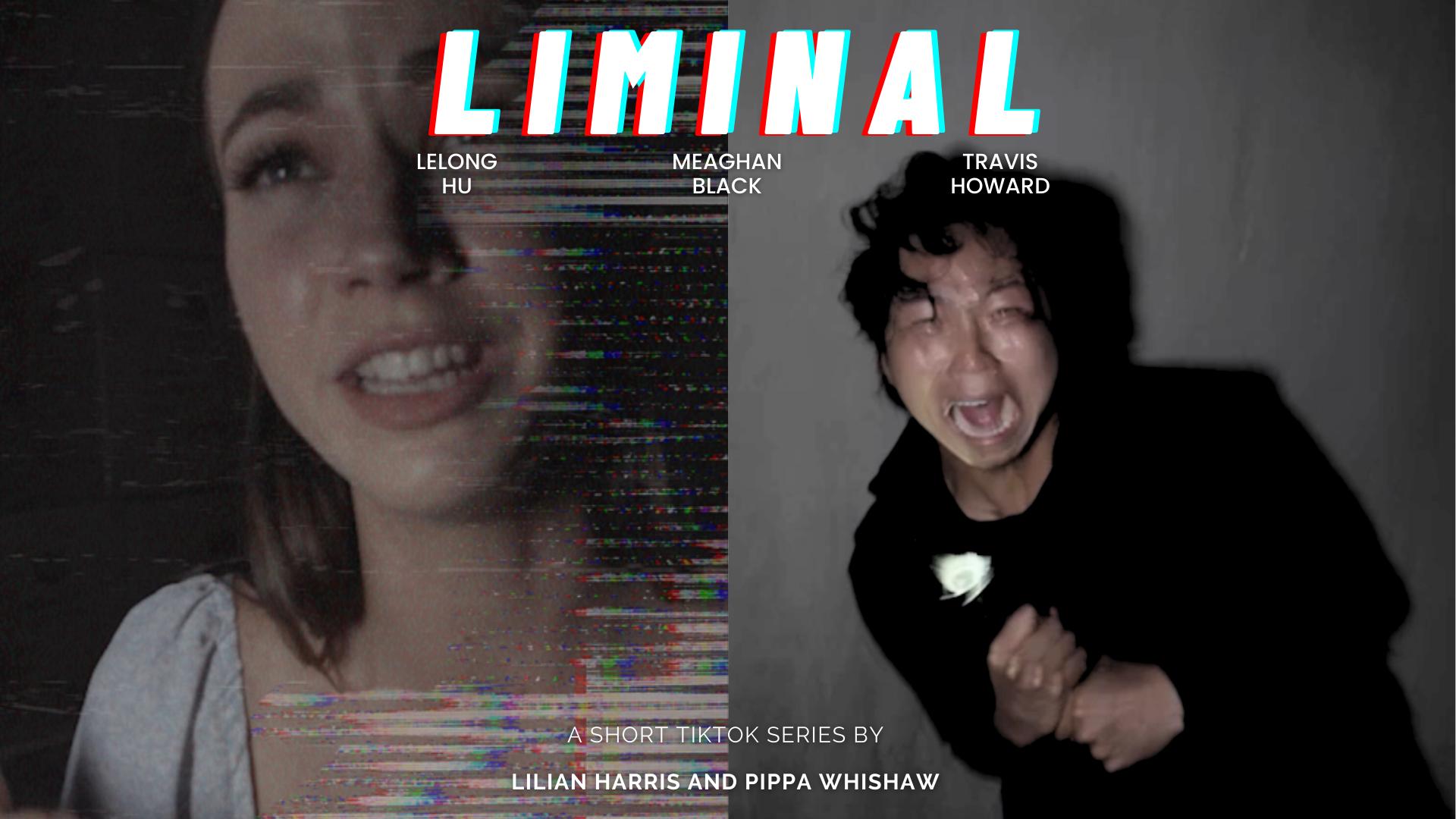 LIMINAL LIMINAL