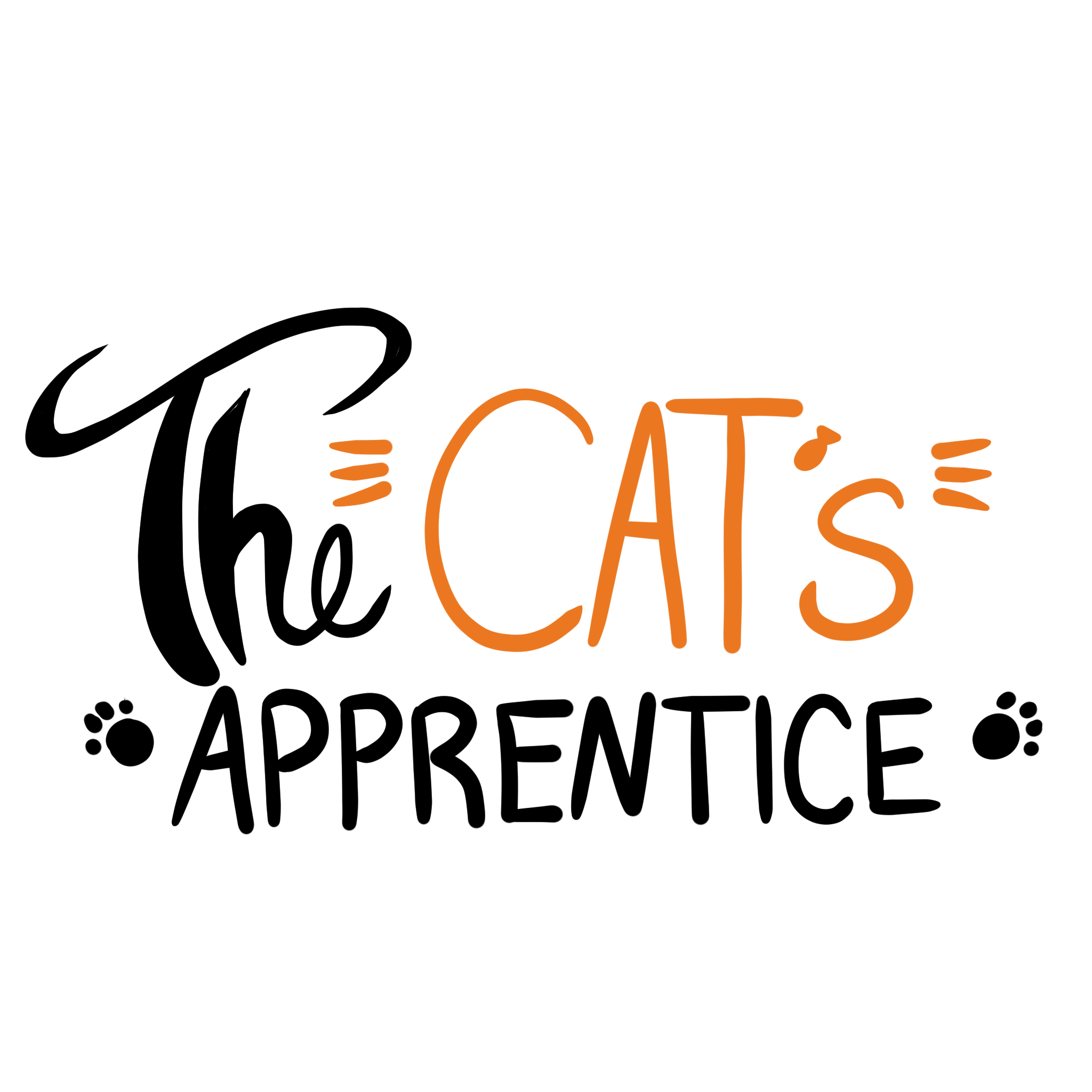 The Cat's Apprentice The Cat's Apprentice